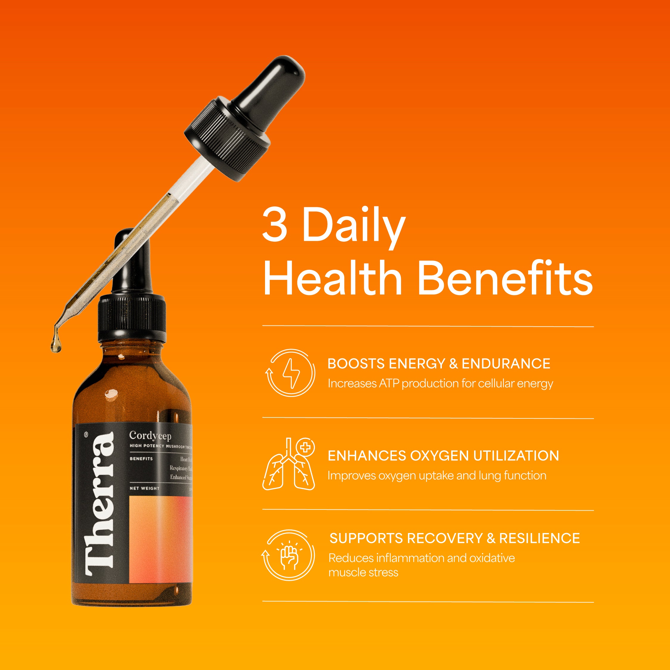 Turkey Tail Mushroom Tincture