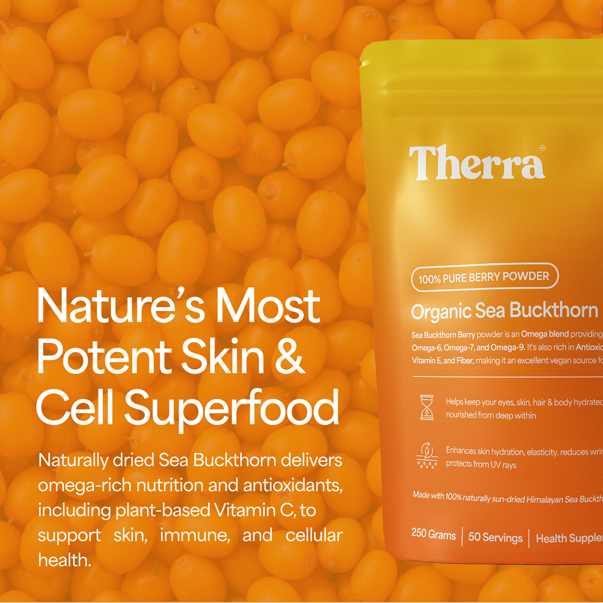 Organic Sea Buckthorn Powder