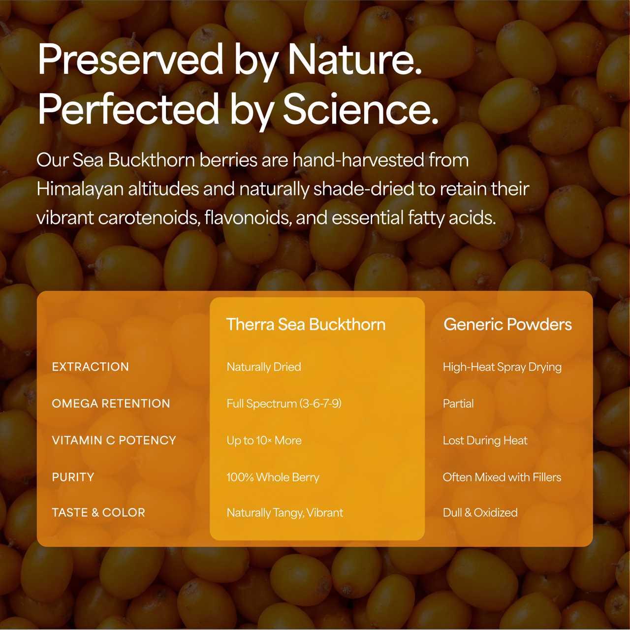 Organic Sea Buckthorn Powder