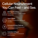 Organic Sea Buckthorn Powder