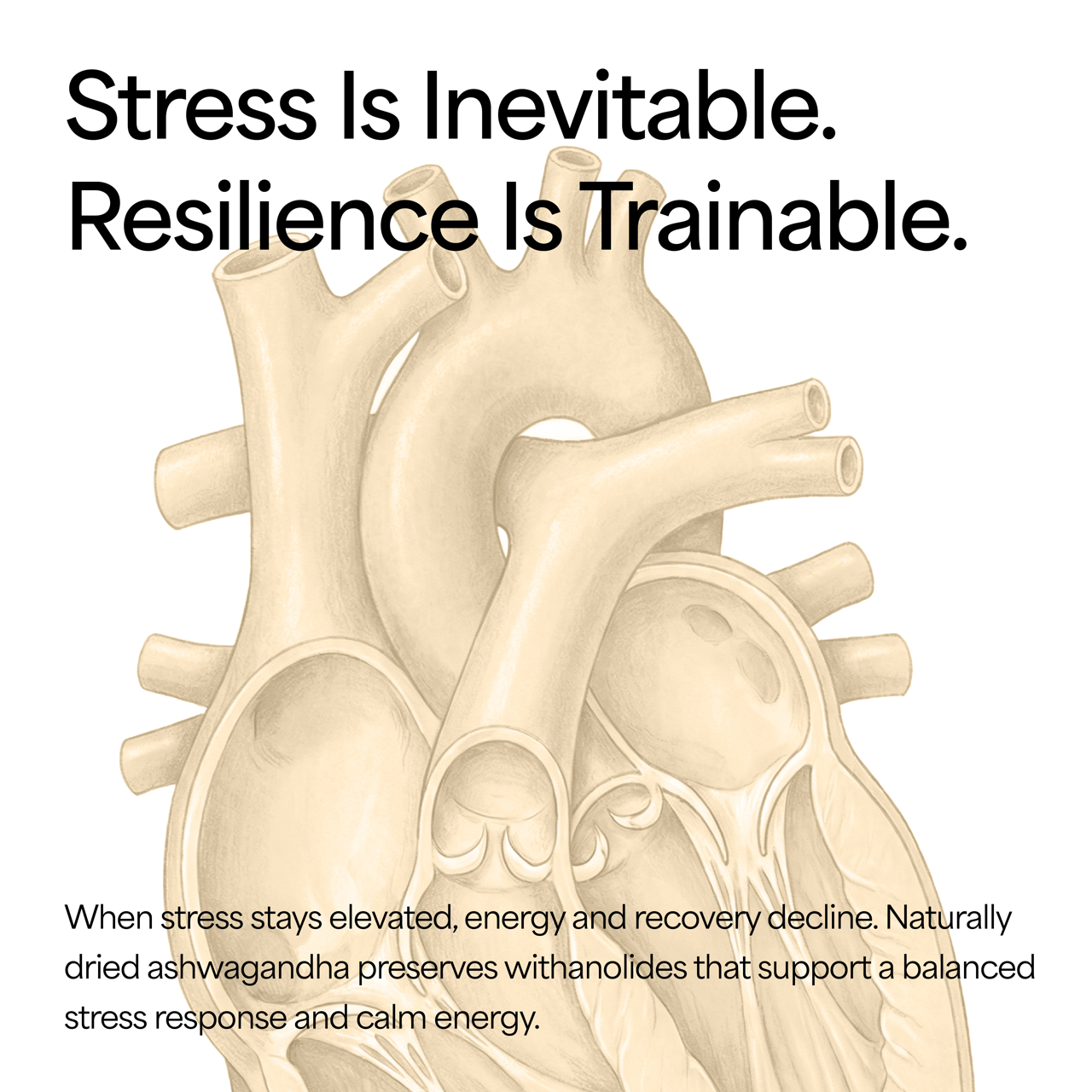 Organic Ashwagandha Powder