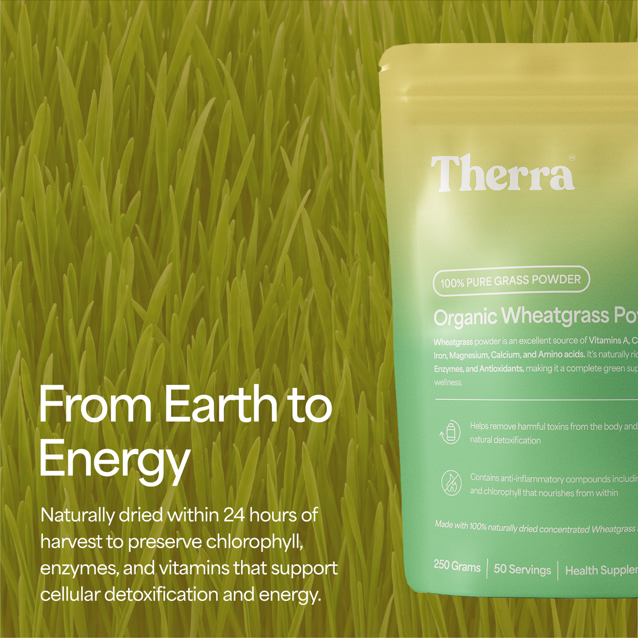 Organic Wheatgrass Powder