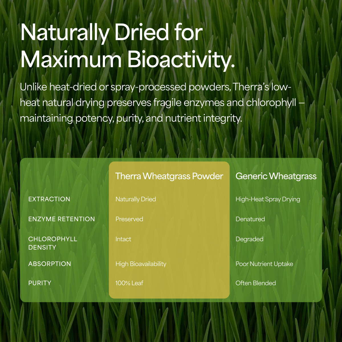 Organic Wheatgrass Powder