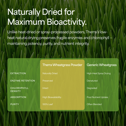Organic Wheatgrass Powder