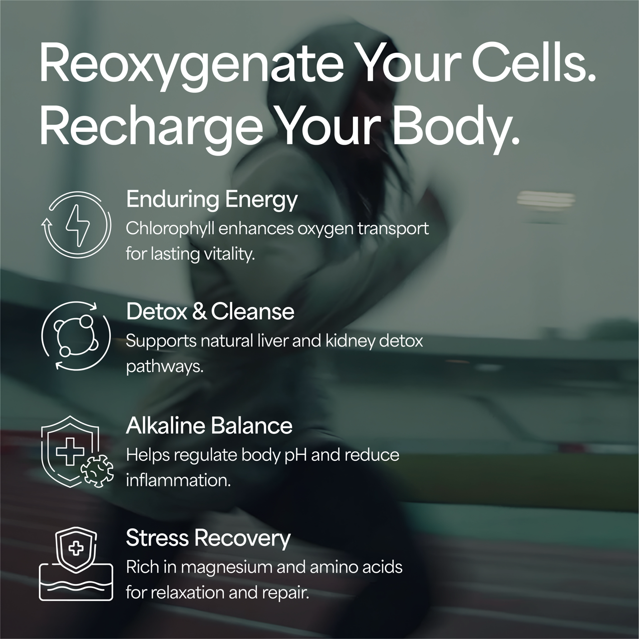 Organic Wheatgrass Powder