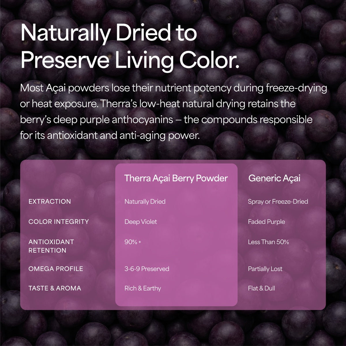 Organic Acai Berry Powder
