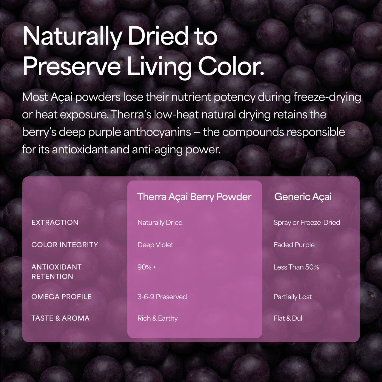 Organic Acai Berry Powder