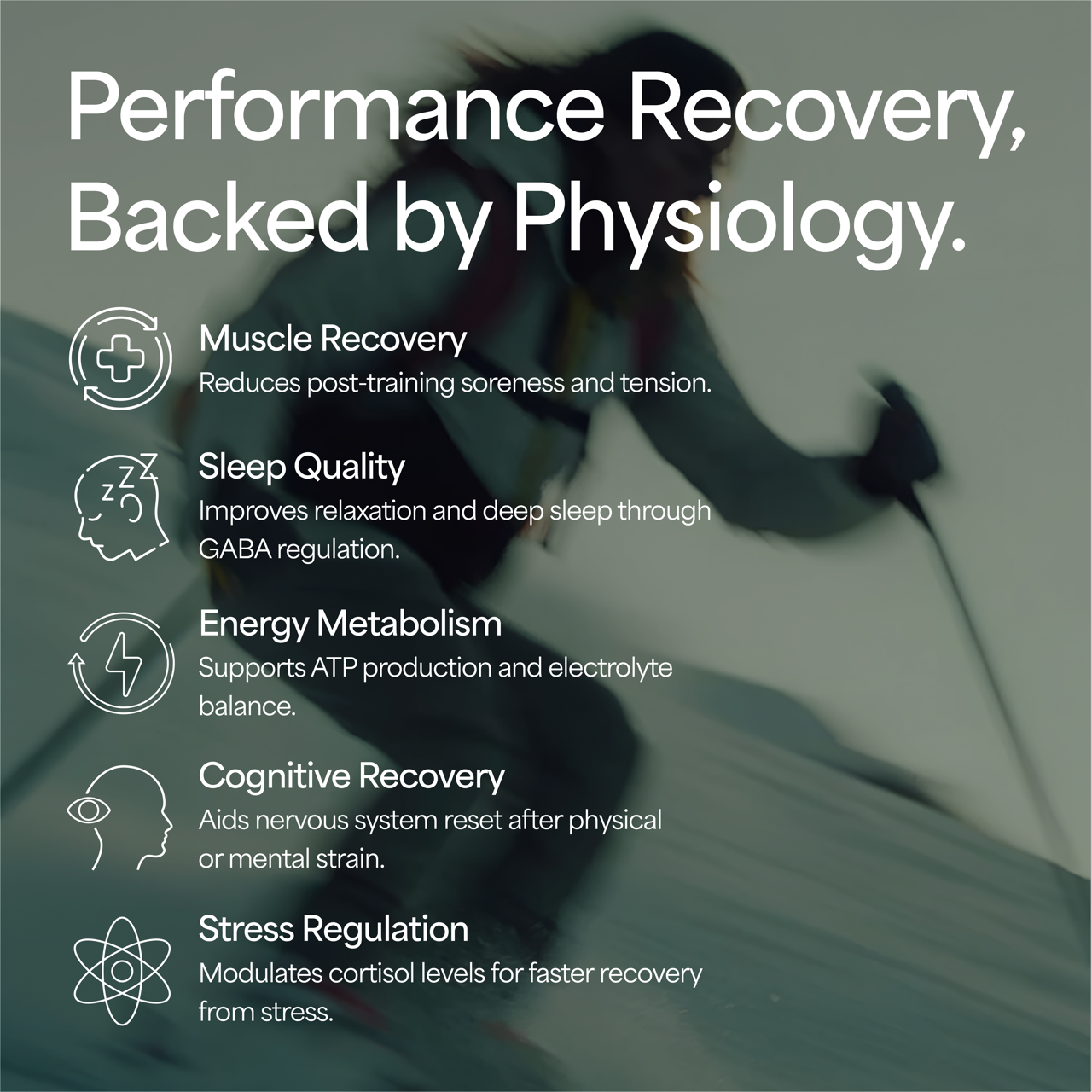 Therra Derma Magnesium Lotion