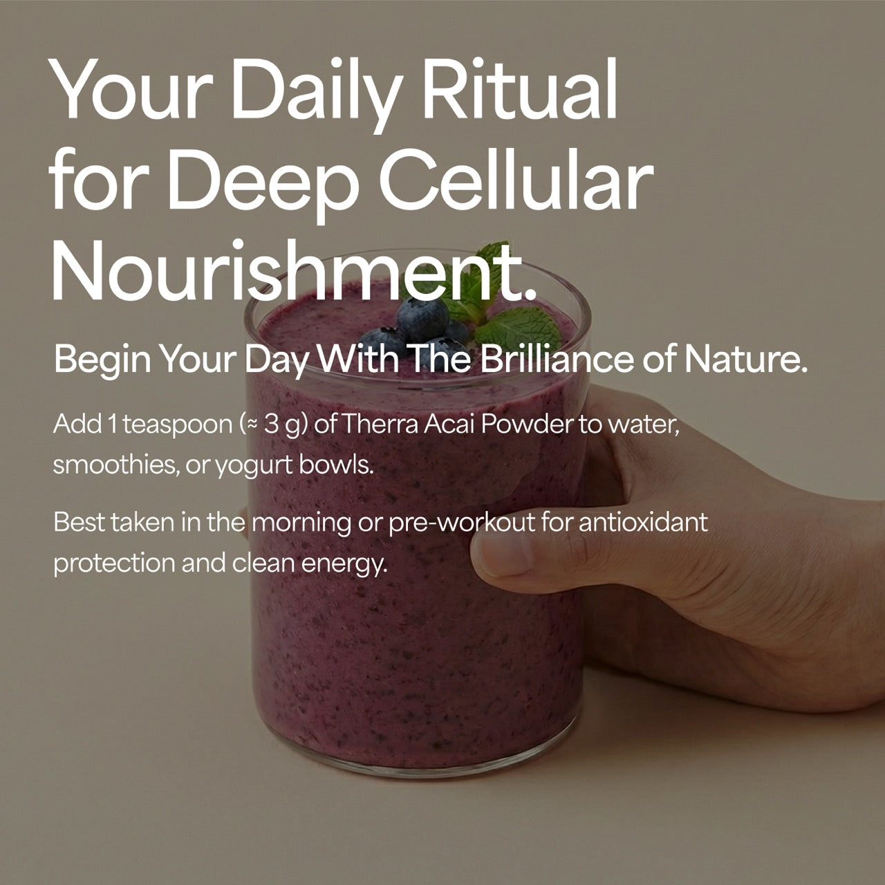 Organic Acai Berry Powder