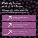 Organic Acai Berry Powder