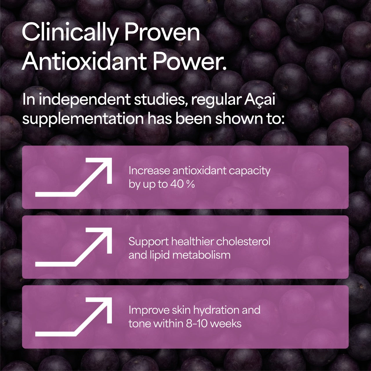 Organic Acai Berry Powder