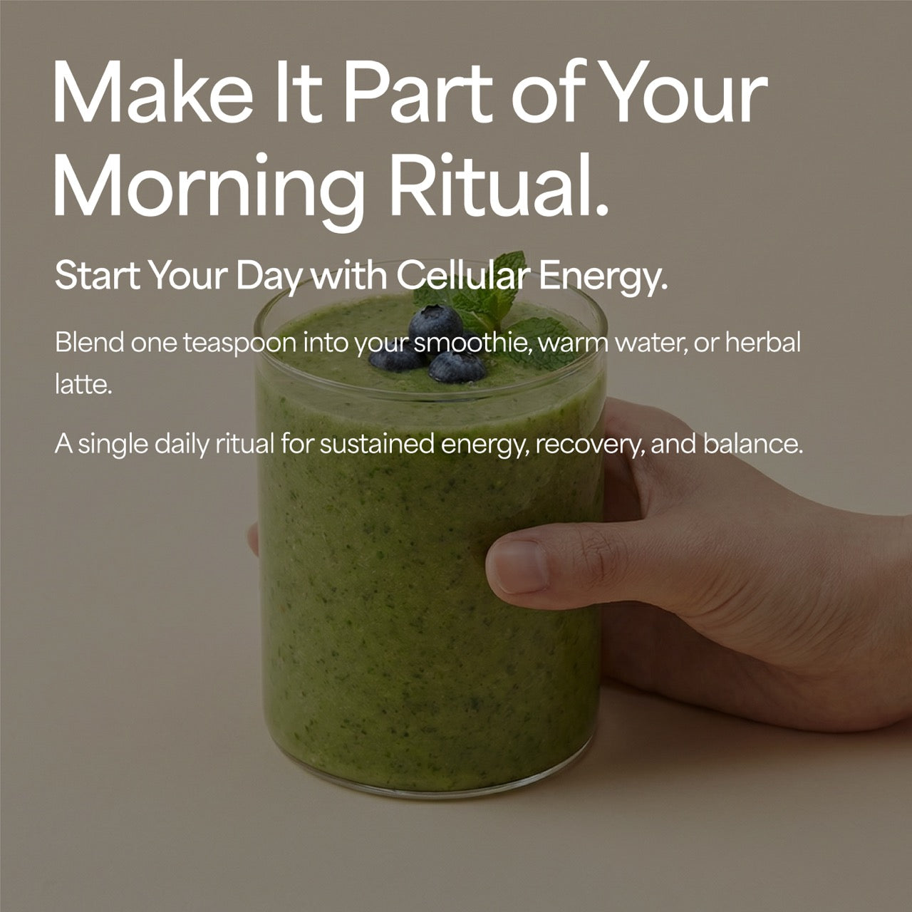 Organic Moringa Powder