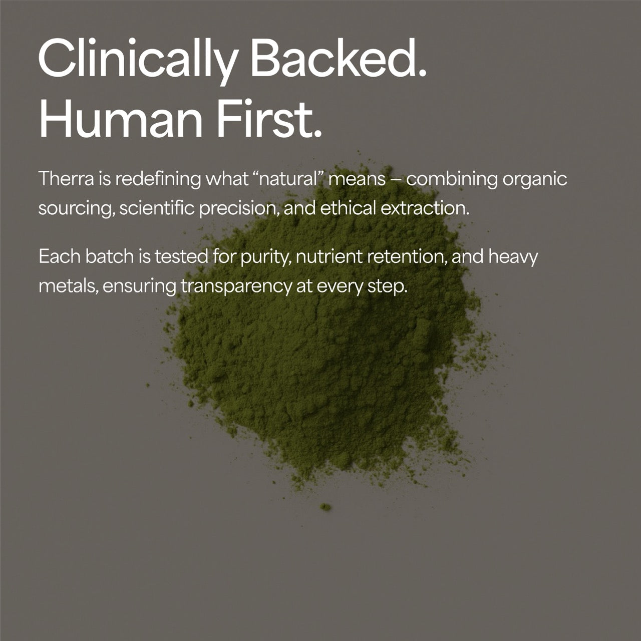 Organic Moringa Powder