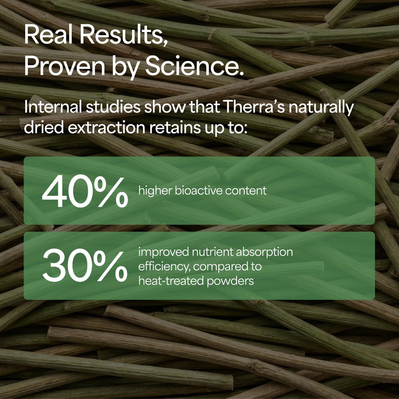 Organic Moringa Powder