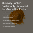 Organic Sea Buckthorn Powder