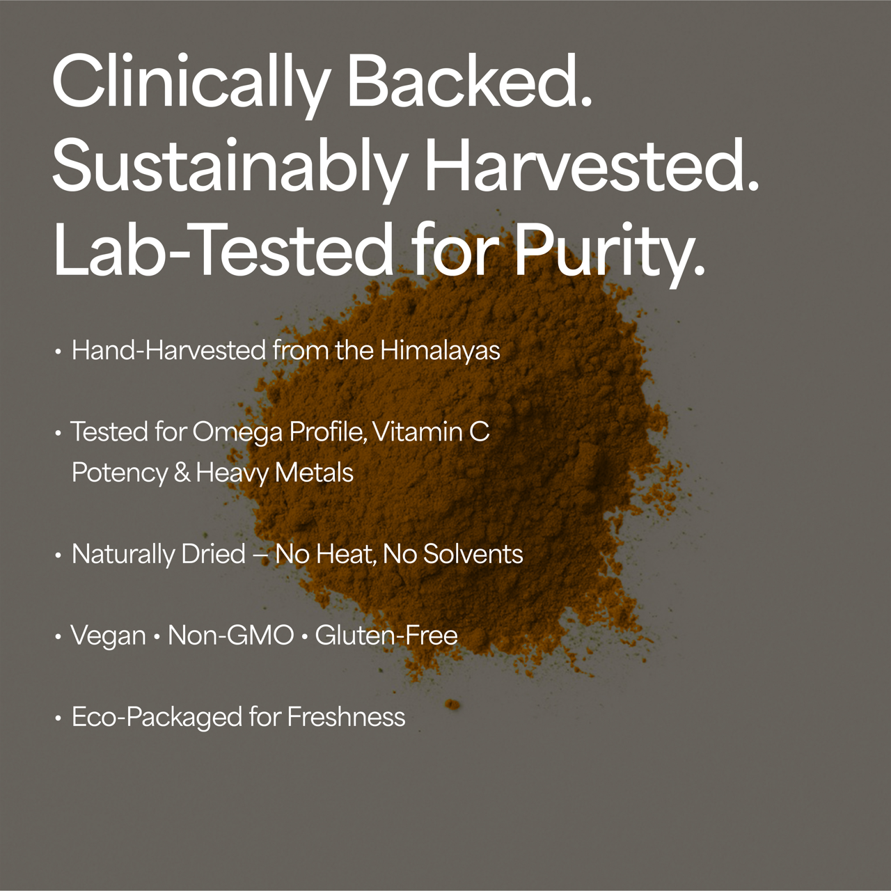 Organic Sea Buckthorn Powder