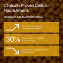 Organic Sea Buckthorn Powder