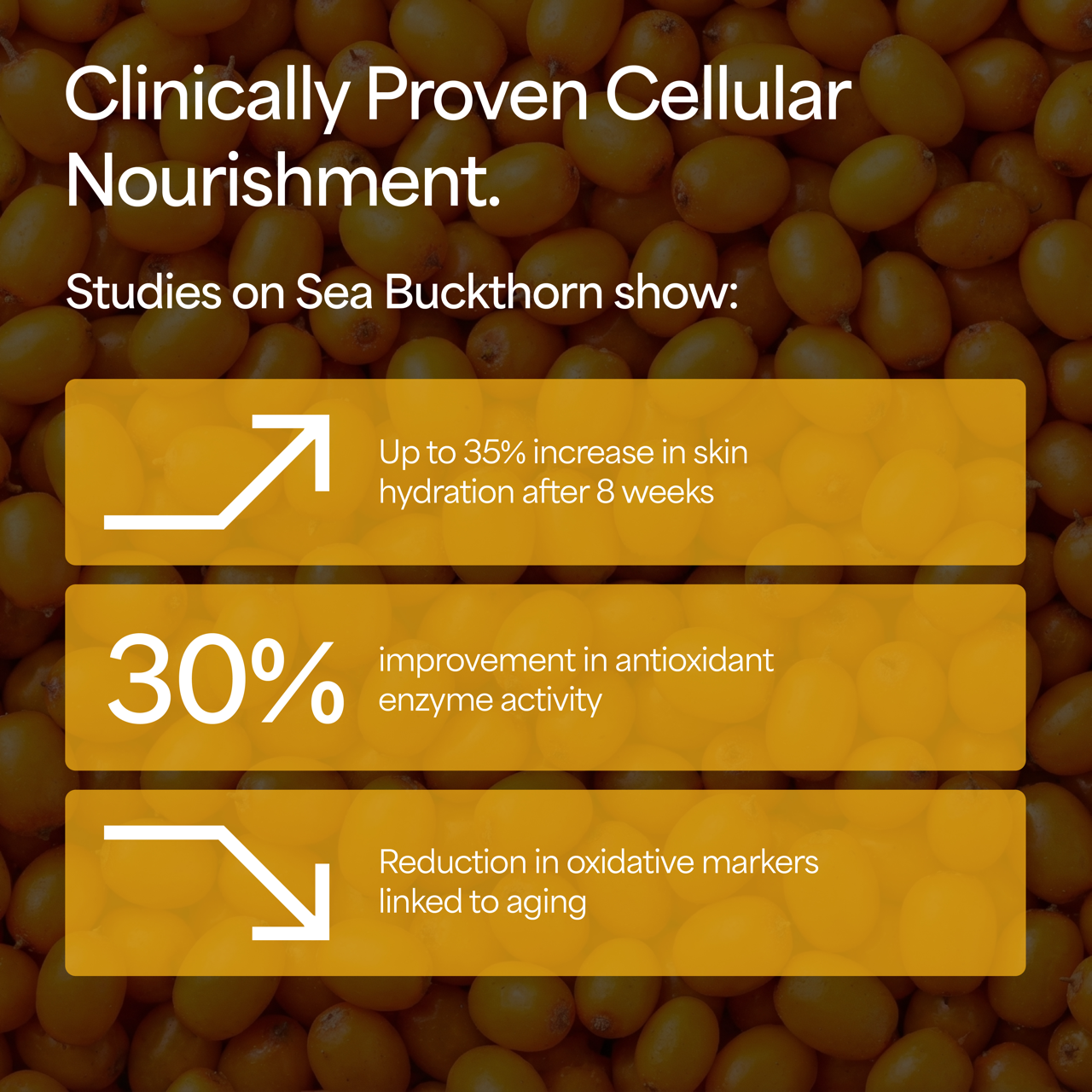 Organic Sea Buckthorn Powder