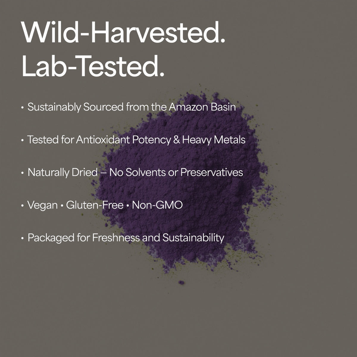 Organic Acai Berry Powder