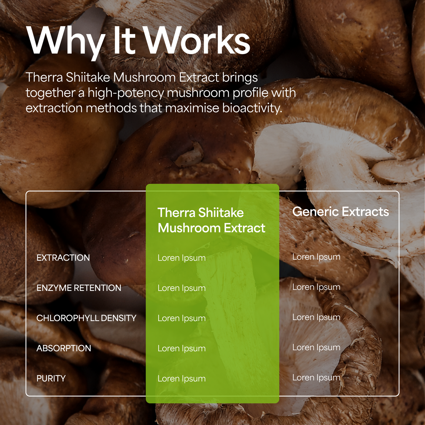 Shiitake Mushroom Tincture