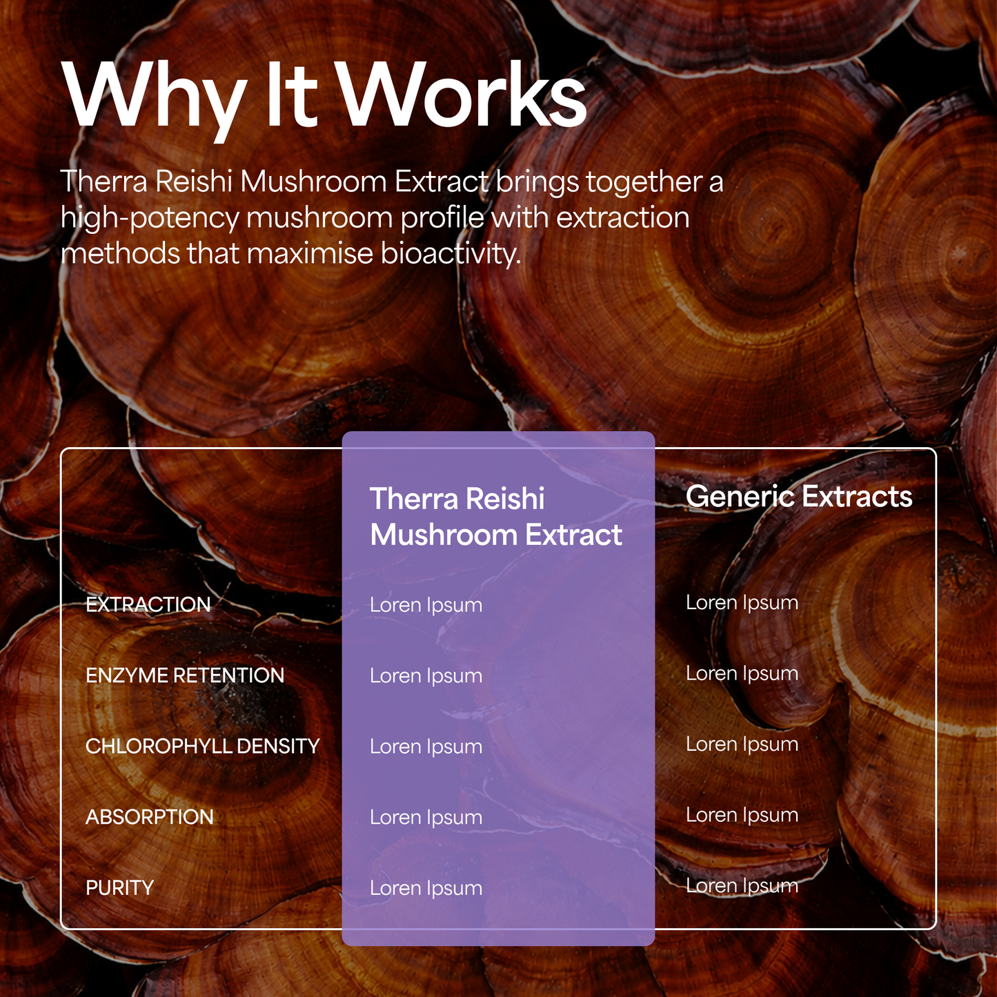 Reishi Mushroom Tincture