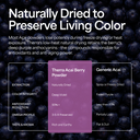 Organic Acai Berry Powder (Copy)