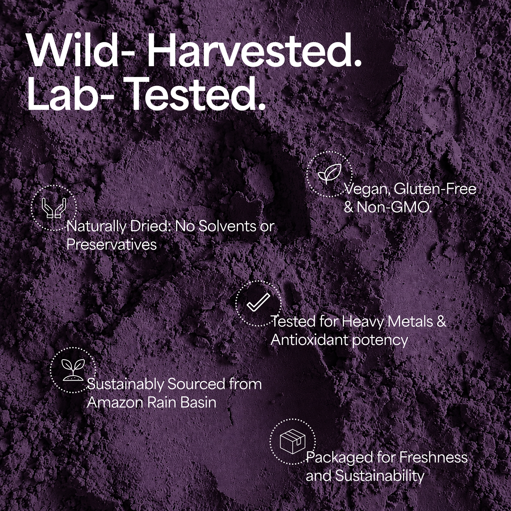 Organic Acai Berry Powder (Copy)