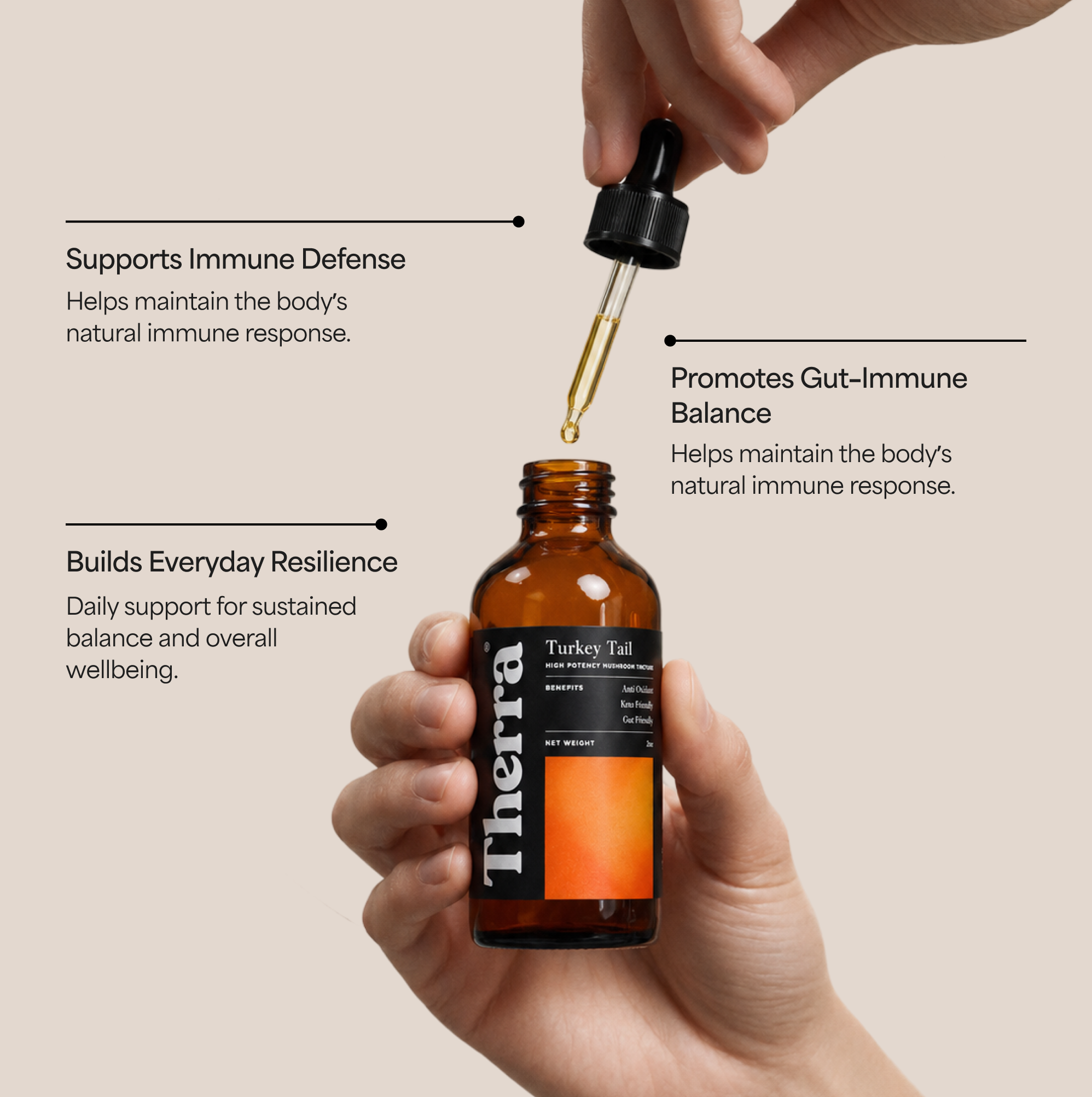 Turkey Tail Mushroom Tincture (Copy)