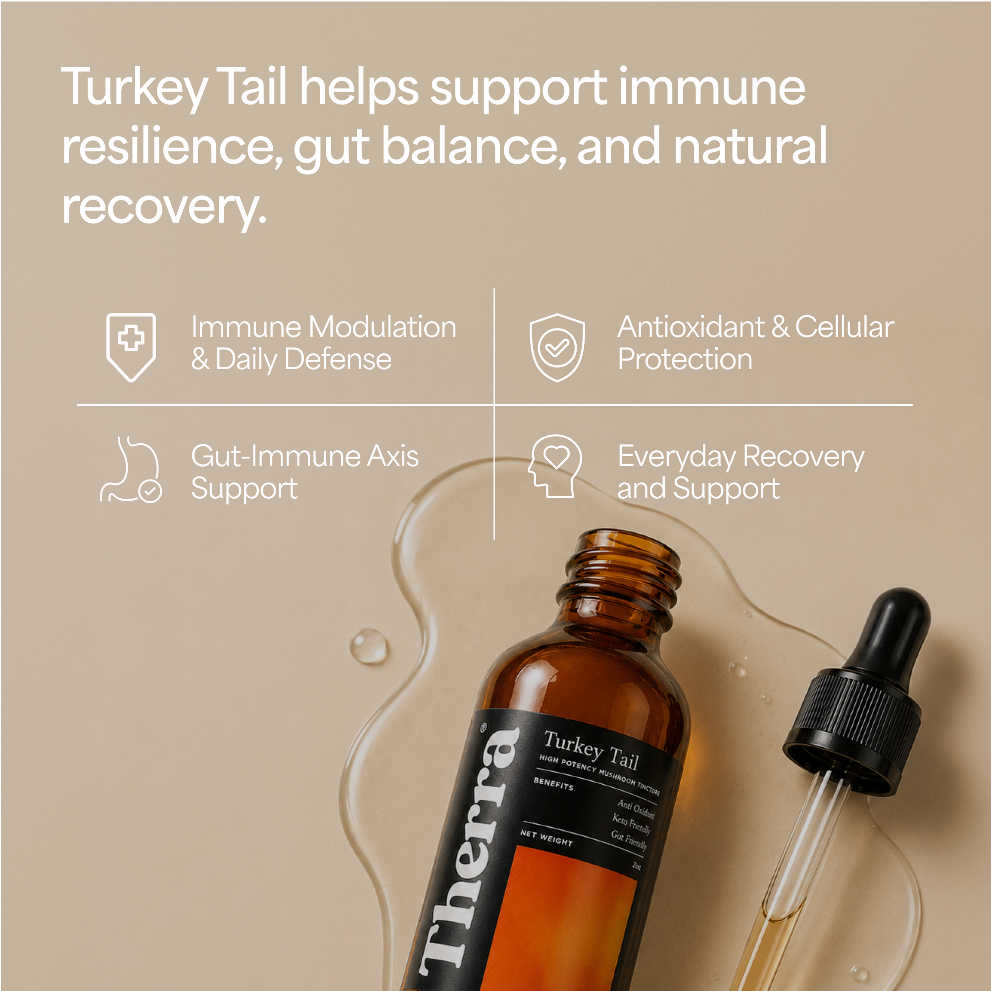 Turkey Tail Mushroom Tincture (Copy)
