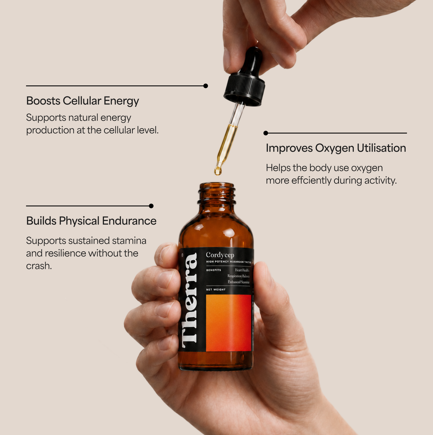 Cordycep Mushroom Tincture