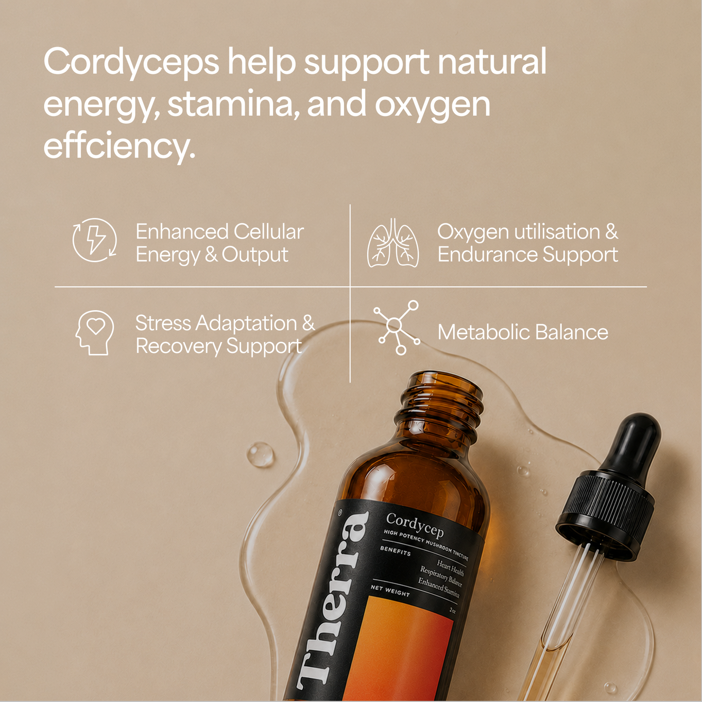 Cordycep Mushroom Tincture