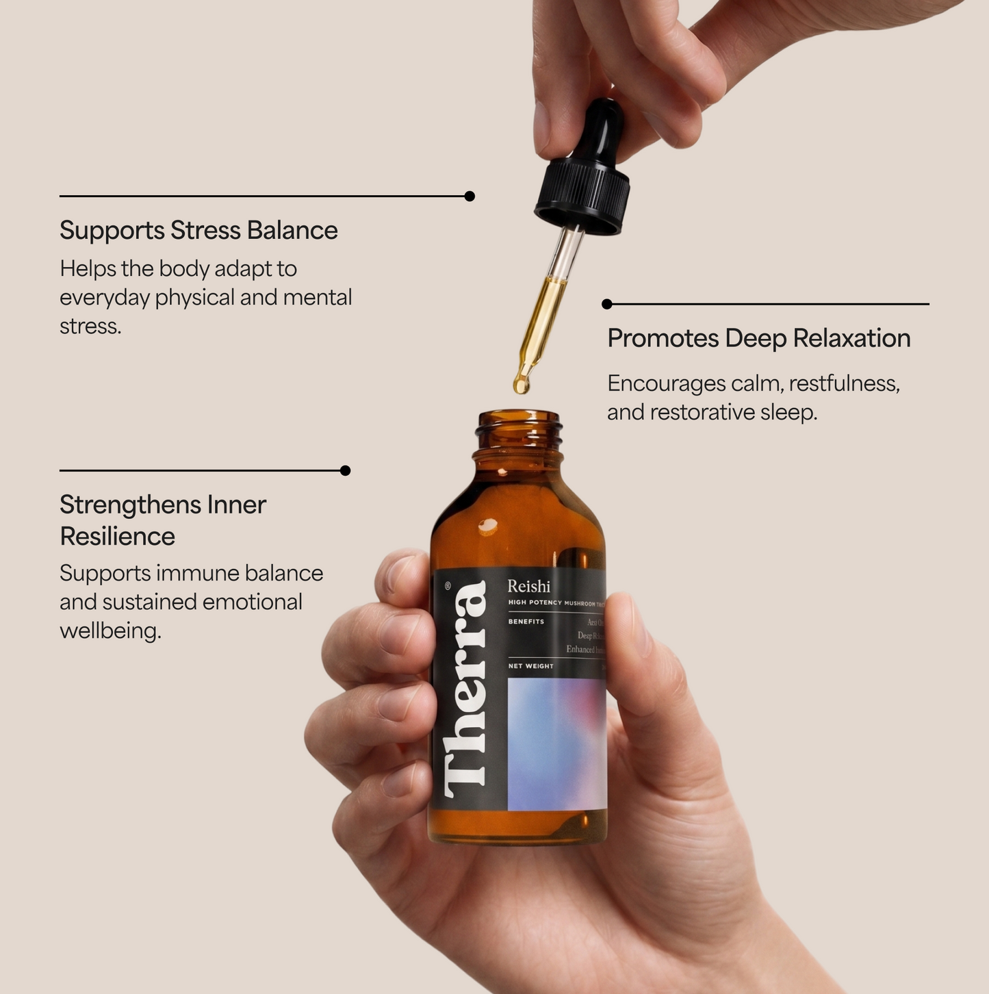 Reishi Mushroom Tincture
