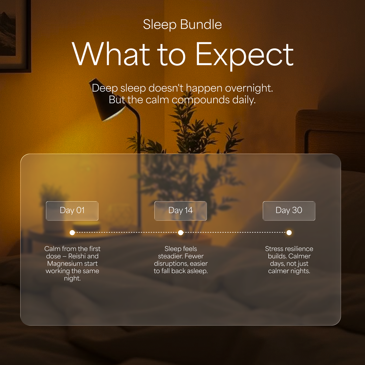 Sleep Bundle