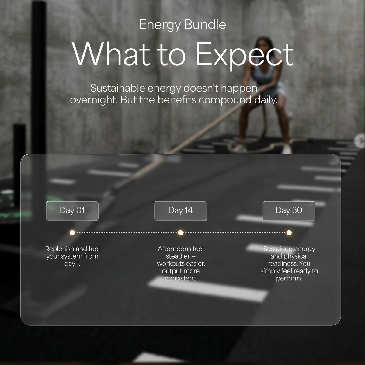 Energy Bundle