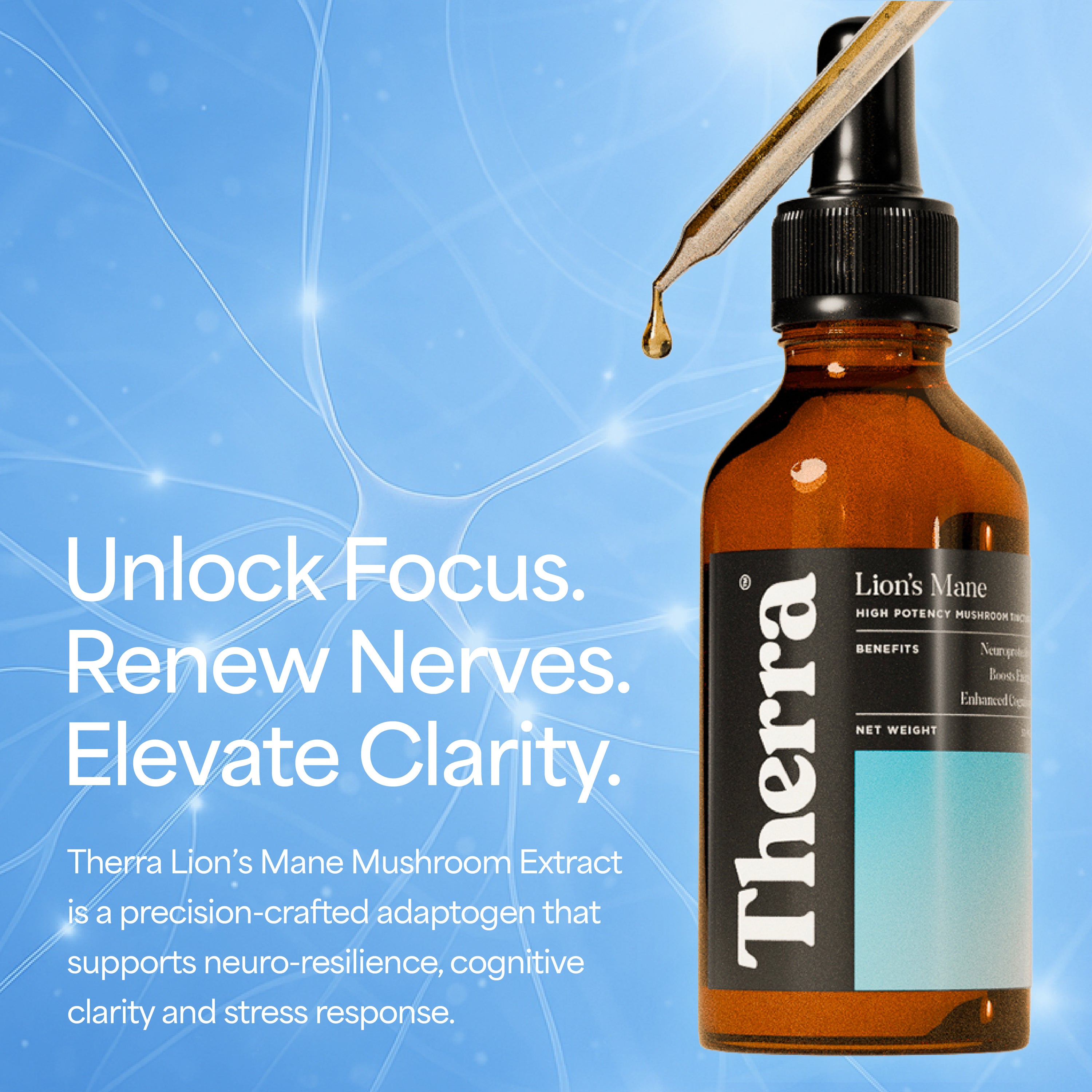 Lion's Mane Mushroom Tincture