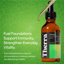 Shiitake Mushroom Tincture