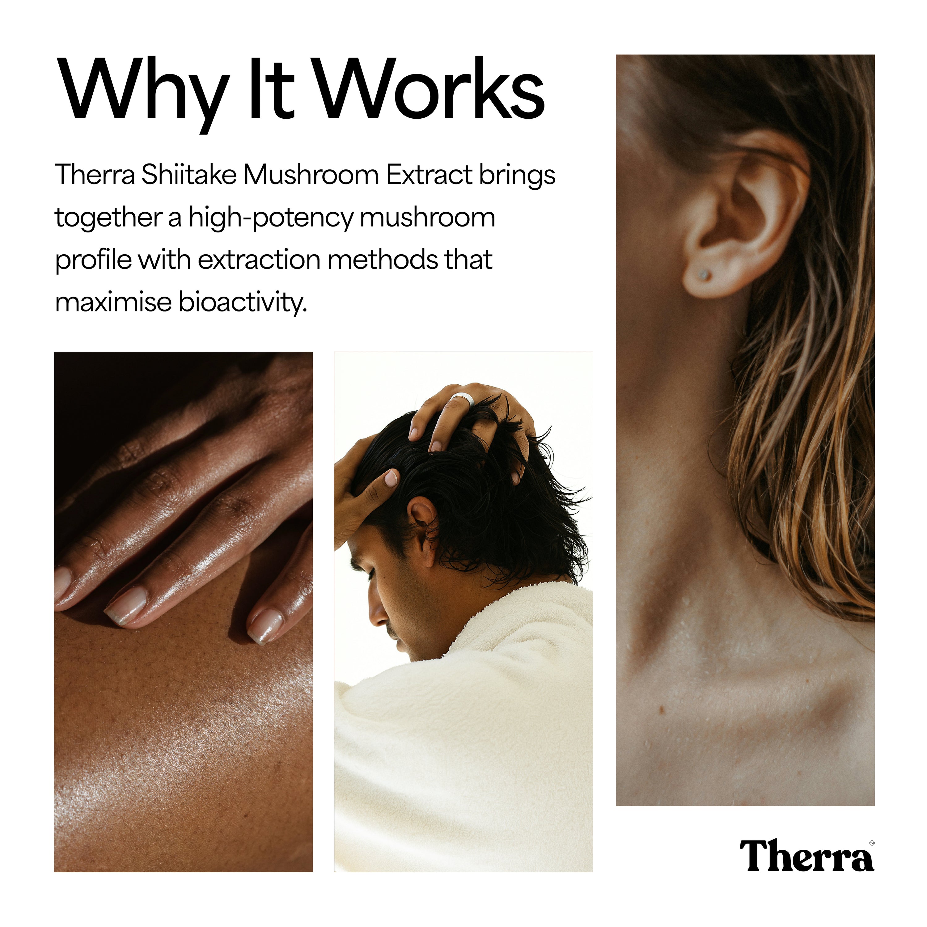 Shiitake Mushroom Tincture