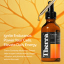 Cordycep Mushroom Tincture