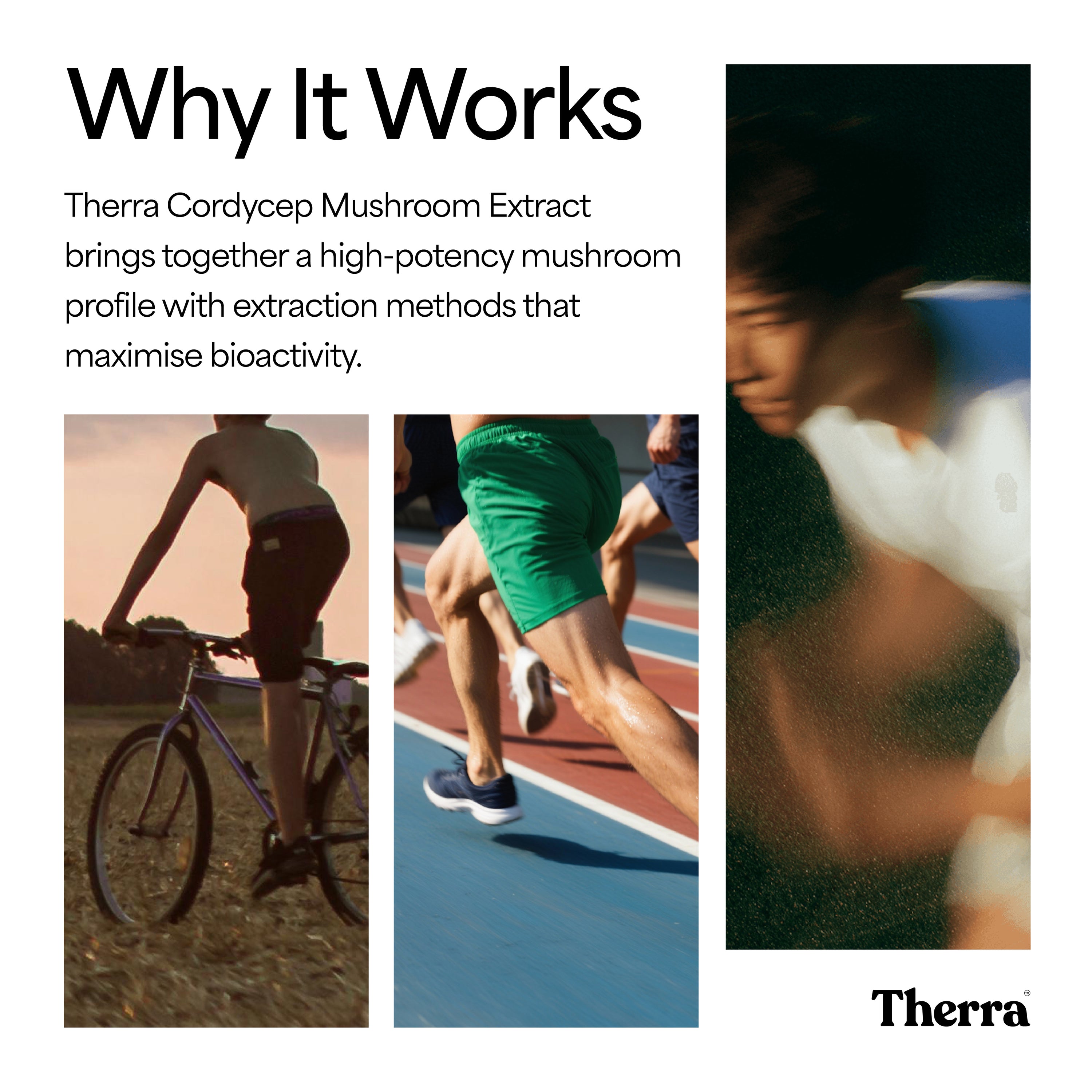 Cordycep Mushroom Tincture