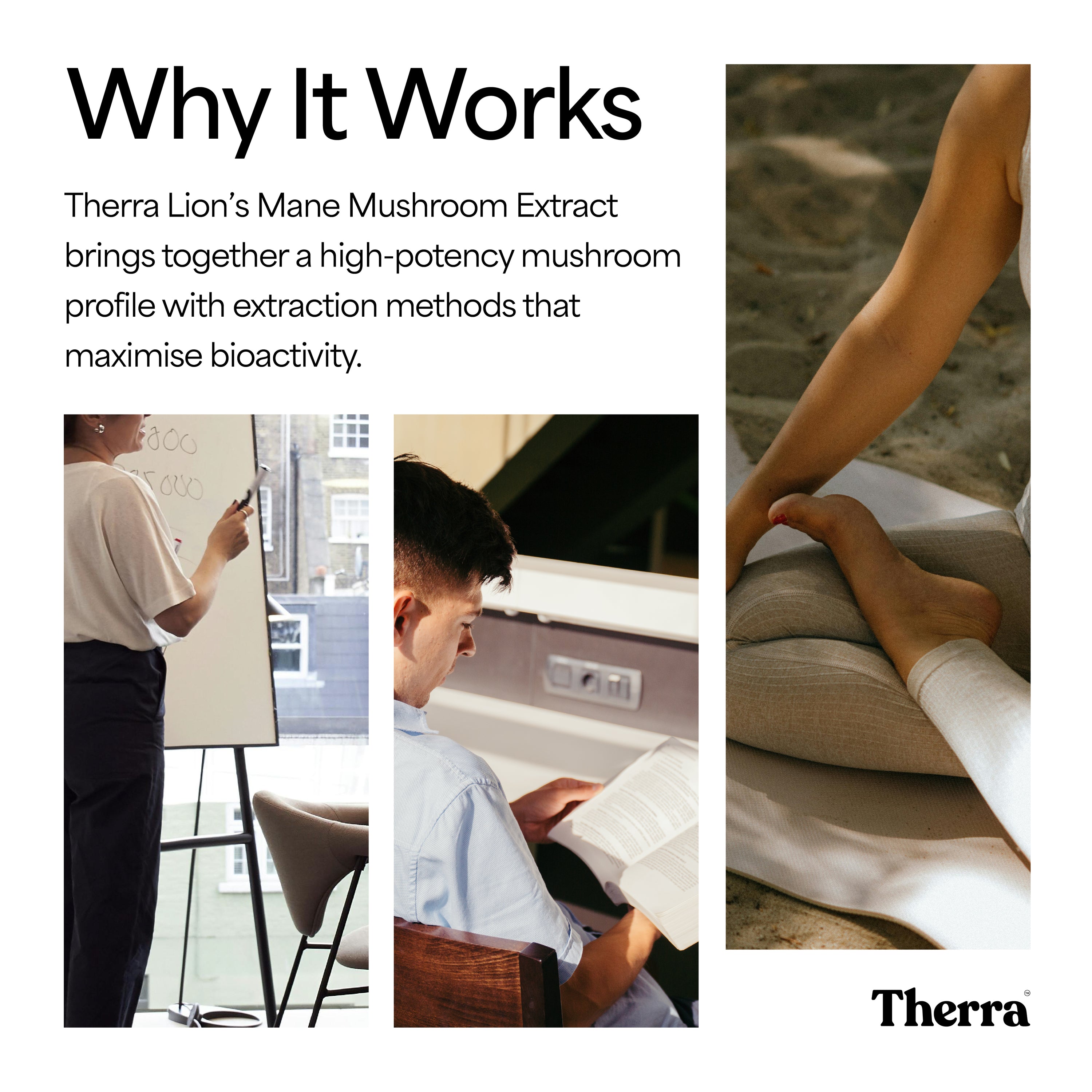 Lion's Mane Mushroom Tincture