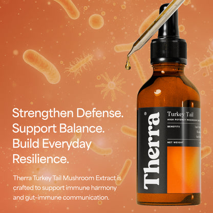 Turkey Tail Mushroom Tincture