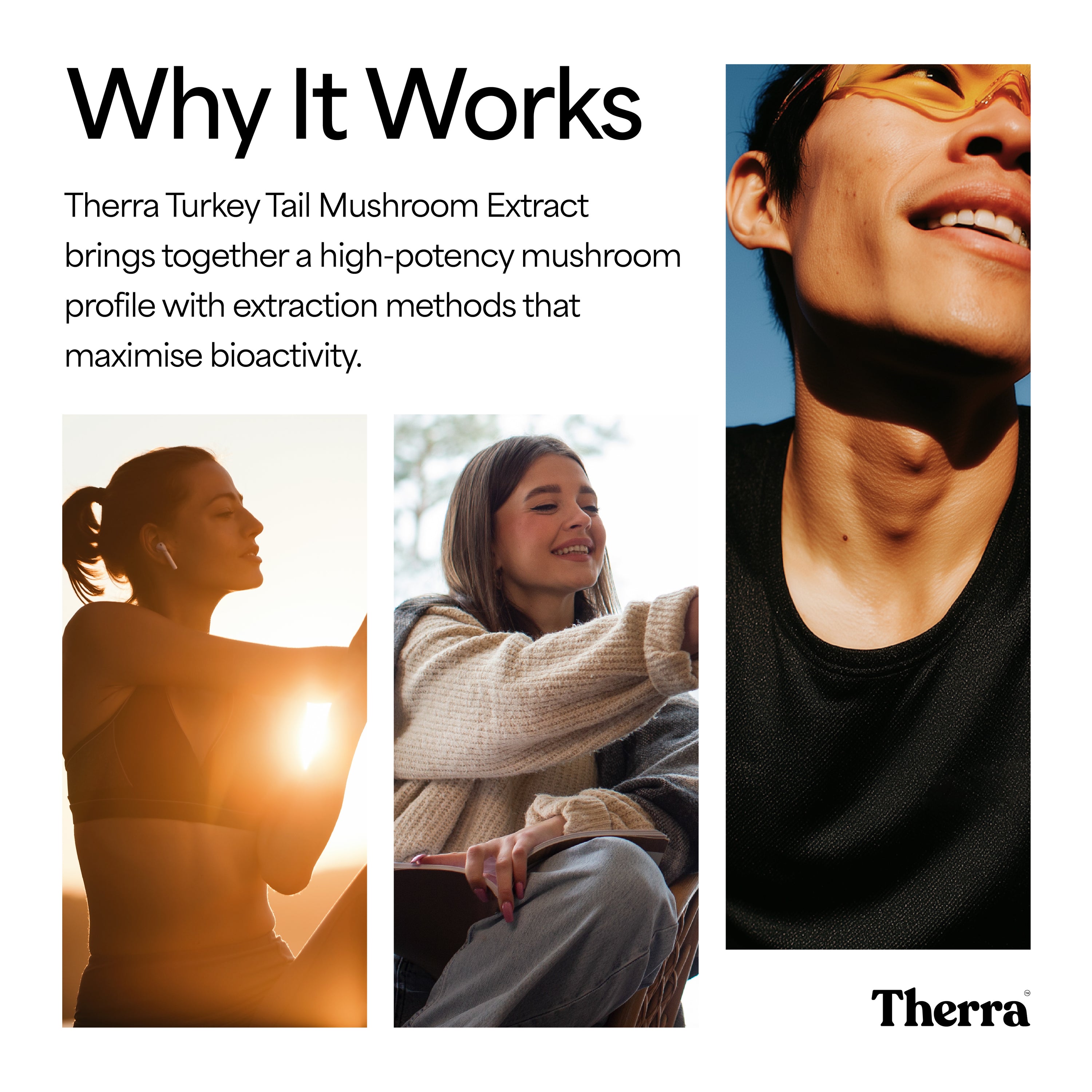 Turkey Tail Mushroom Tincture