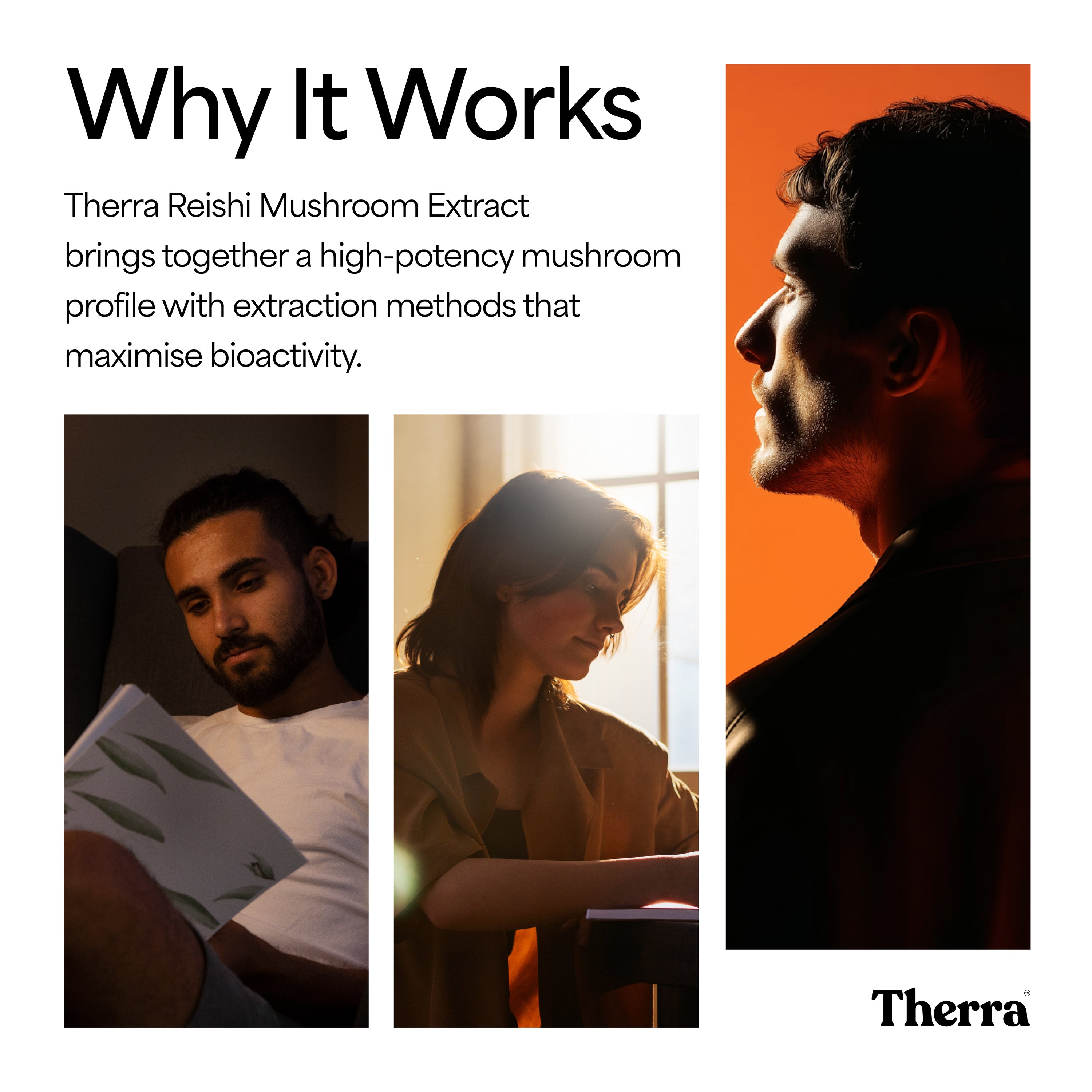 Reishi Mushroom Tincture