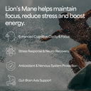 Lion's Mane Mushroom Tincture