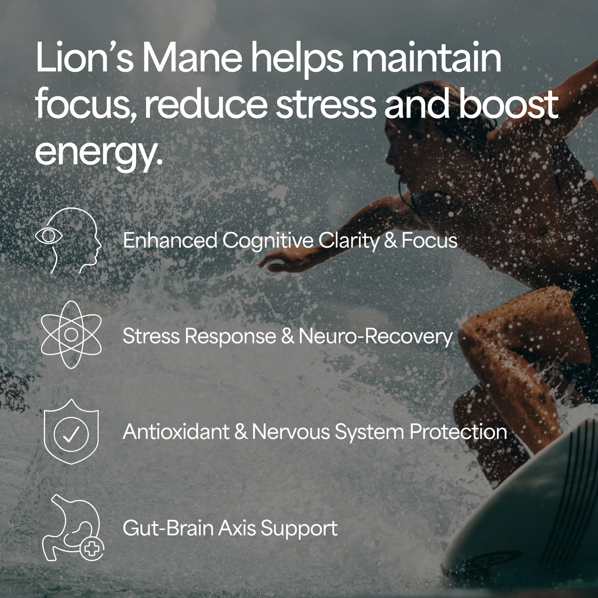 Lion's Mane Mushroom Tincture
