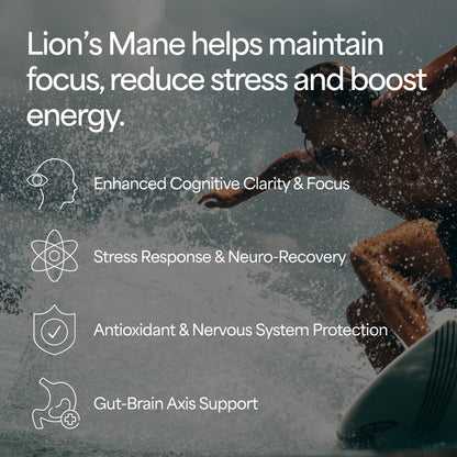 Lion's Mane Mushroom Tincture