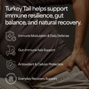 Turkey Tail Mushroom Tincture