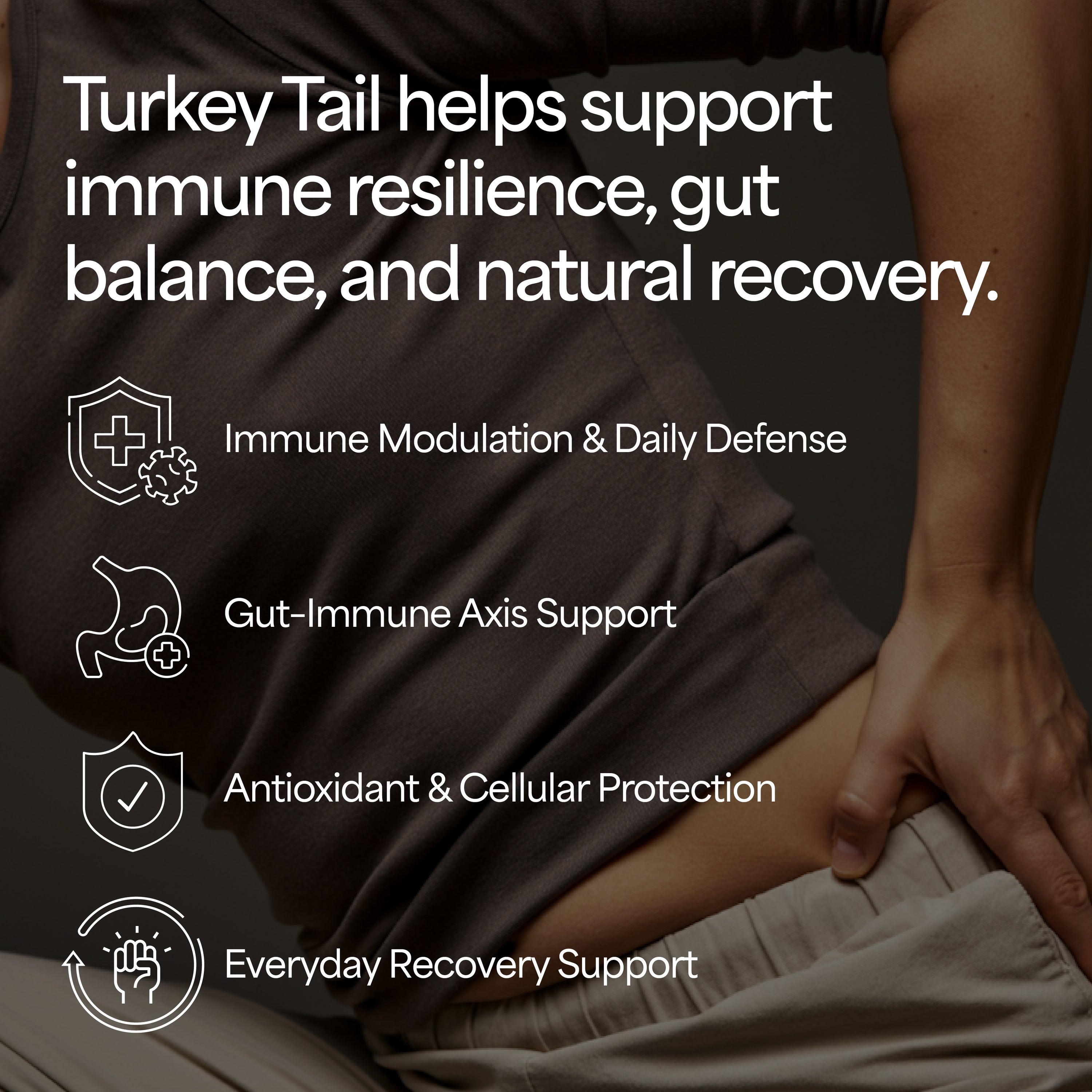 Turkey Tail Mushroom Tincture