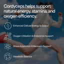 Cordycep Mushroom Tincture