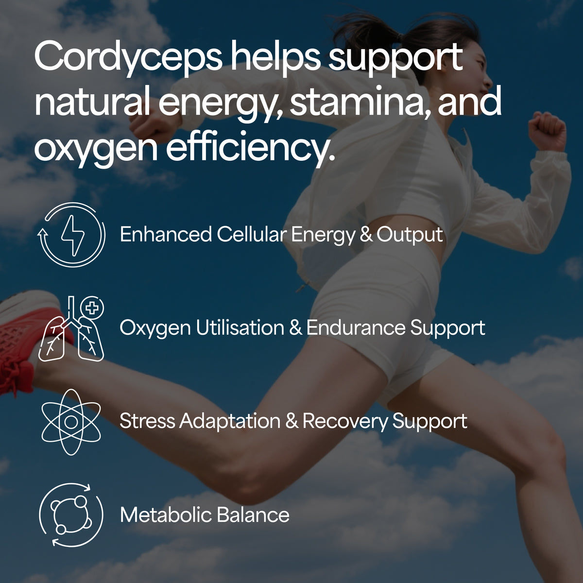 Cordycep Mushroom Tincture
